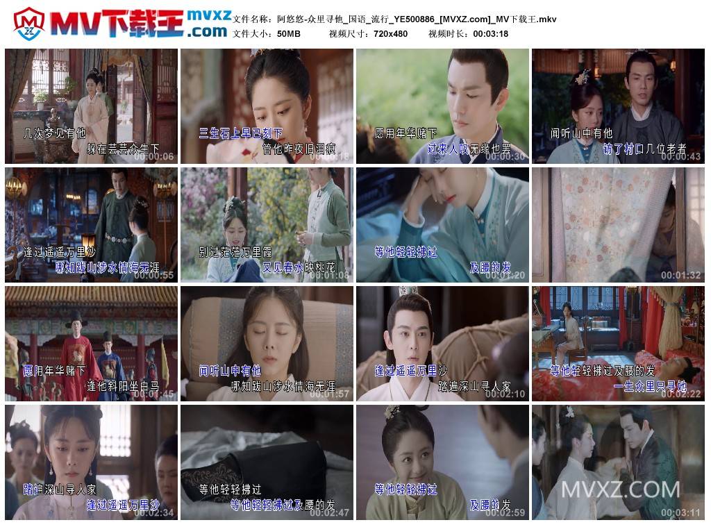 阿悠悠-众里寻他_国语_流行_YE500886